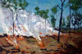 Bushfire