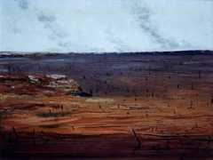 Bushfire