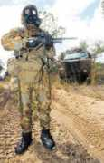 Bushmaster