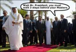Bushmaster