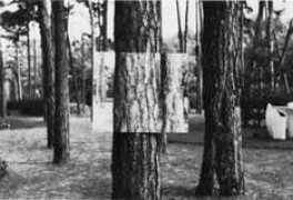 radicalart.info Byii