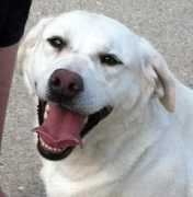Cackie