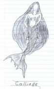 flutterponymlp.tripod.com Calliope