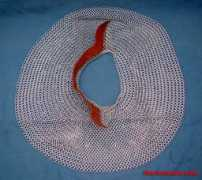 Camaille