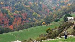 panoramio.com Camarate