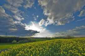 panoramio.com Camberg