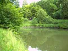 streetmillboys.de Camberg