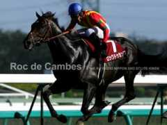 keiba.vis.ne.jp Cambes