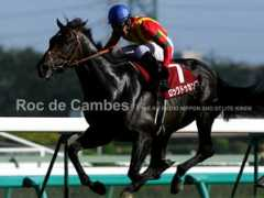 keiba.vis.ne.jp Cambes