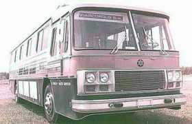 toffobus.com Camelinho