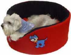 dogtimes.com.br Caminhas