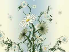 myfreewallpapers.net Camomile
