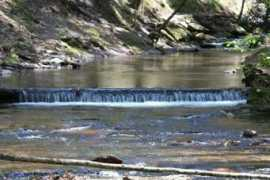 fotonomy.com Campens