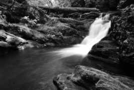 elzerphotography.com Campens