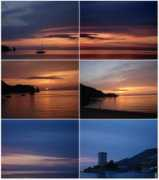 carlachi.com Campese