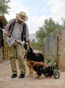 digitaljournal.com Camphausen