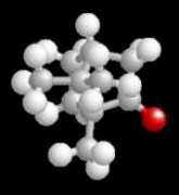 chemie.fu-berlin.de Campher