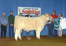 luckyspringsfarms.com Canasta