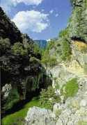 panoramio.com Candir