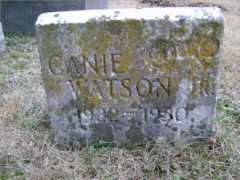 Canie