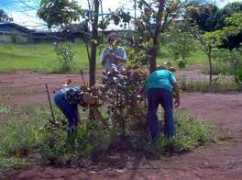iesambi.org.br Capina