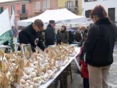 specialissimo.it Caraj