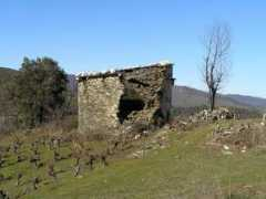 panoramio.com Carballeda