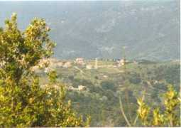 Carbini
