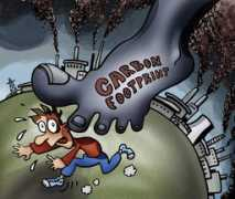 el.toonpool.com Carbor