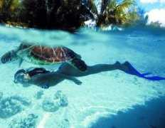 thetravelerszone.com Carioto