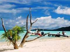 thetravelerszone.com Carioto