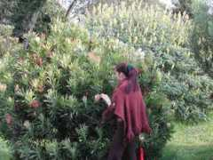 Carmenza