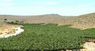 israel21c.org Carmey