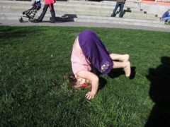 mikesbaby.com Carnero