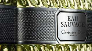 parfumbroker.nl Carnin