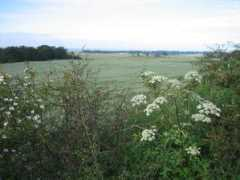 geograph.org.uk Carnock