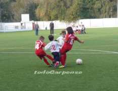 carpensefc.es.tl Carpeno