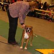 boxerland.se Carpinetta