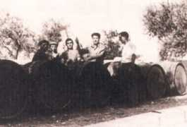 darapri.it Carreja
