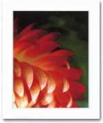 susanab.net Carrithers