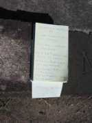 chapelhill.homeip.net Carrod