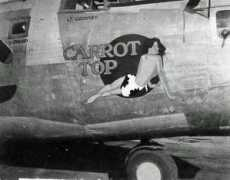 b24bestweb.com Carrottop