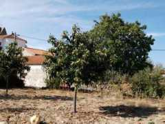 panoramio.com Castanheiros