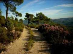 panoramio.com Catalunya