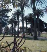 panoramio.com Catani