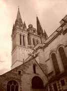 maitrise.angers.free.fr Cathea