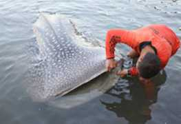 philstar.com Catindig