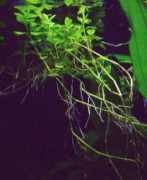 acquaportal.it Cationi