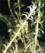 acquaportal.it Cationi