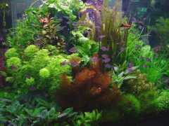 acquaportal.it Cationi